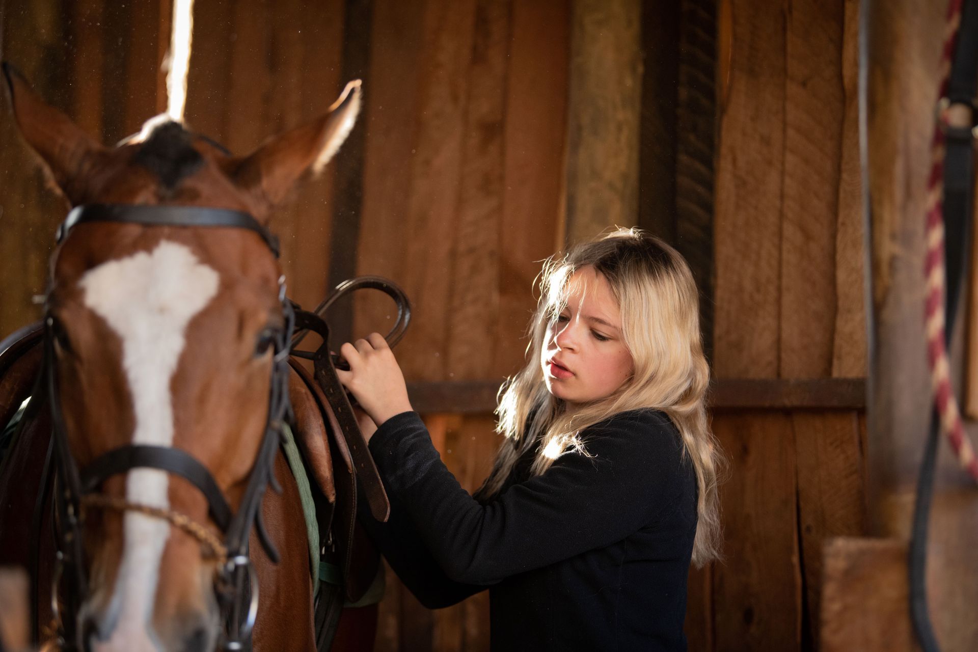 Woman adjusting a horse’s bridle in a wooden stable