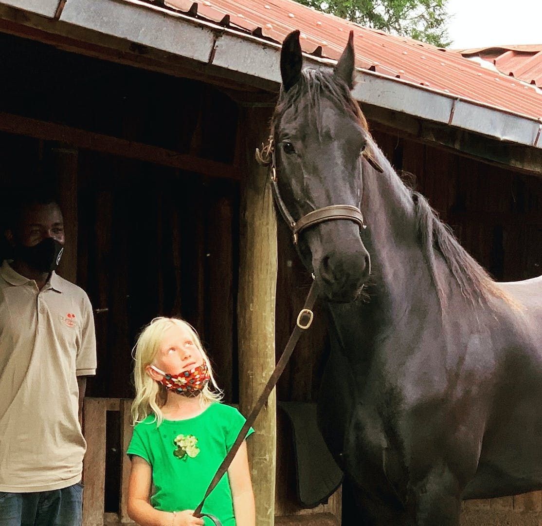 Black horse beside a masked person in green shirt outside a stable