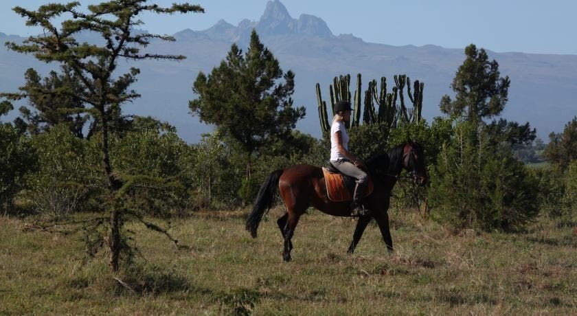 Person riding a brown horse in a grassy field with mountains in the background