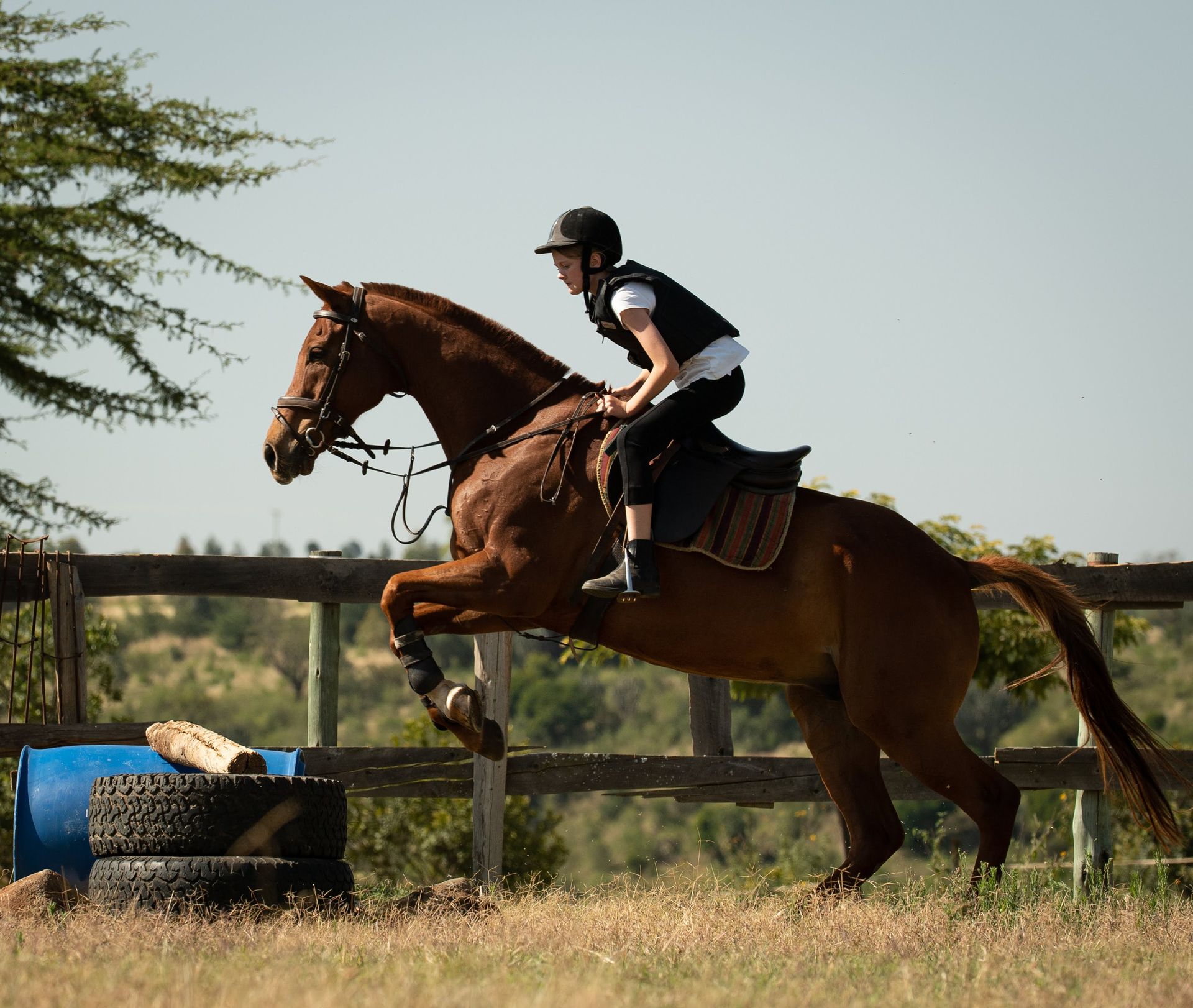 Horse and rider clearing an obstacle in a grassy field