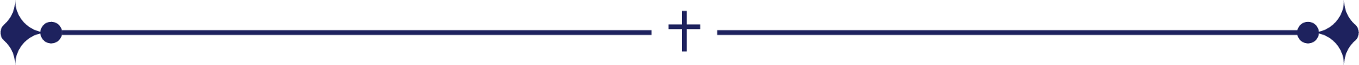Section Divider