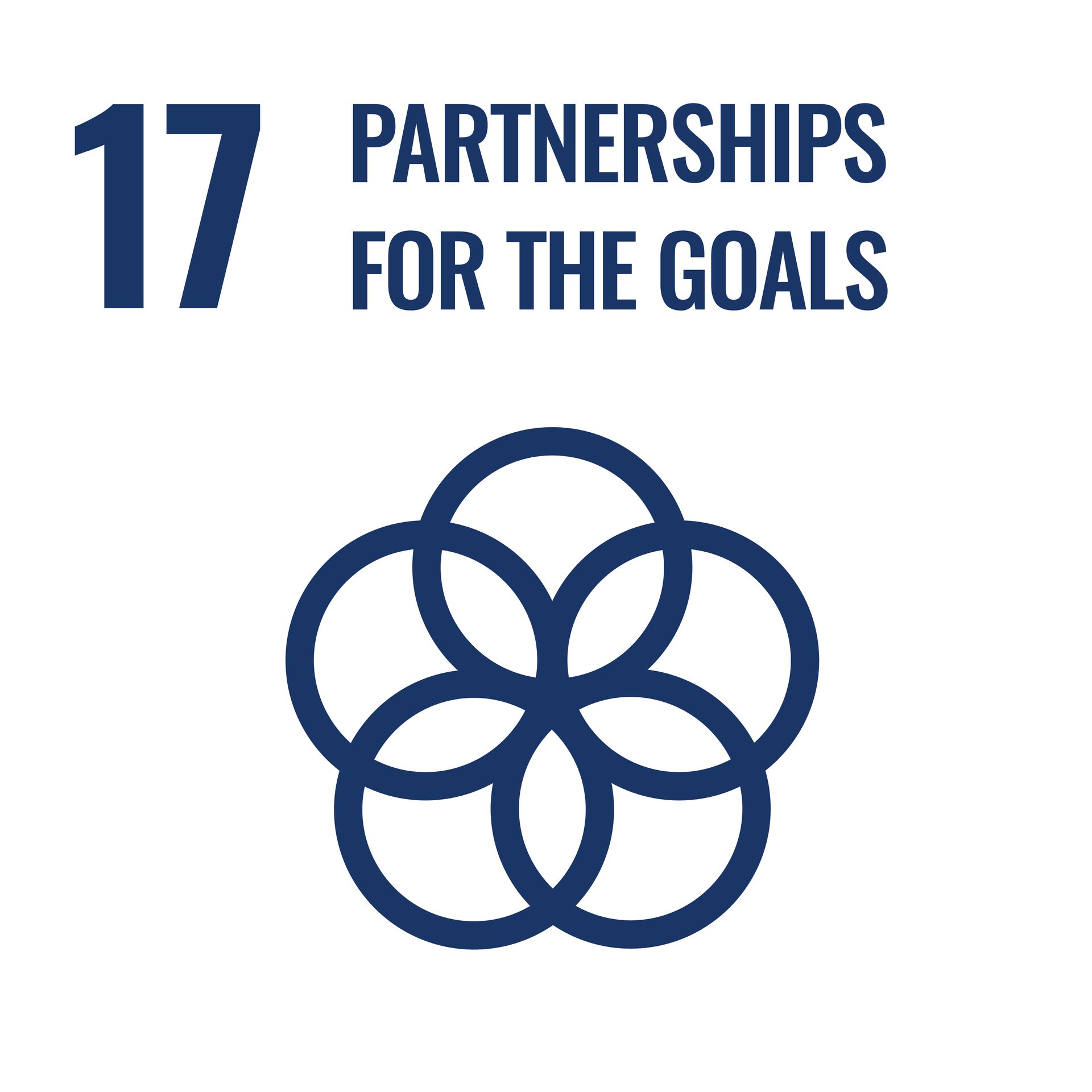 SDG 17