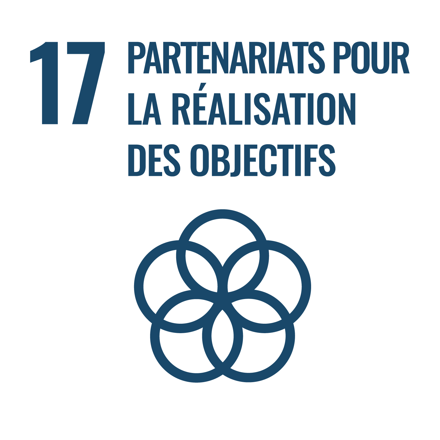 SDG 17