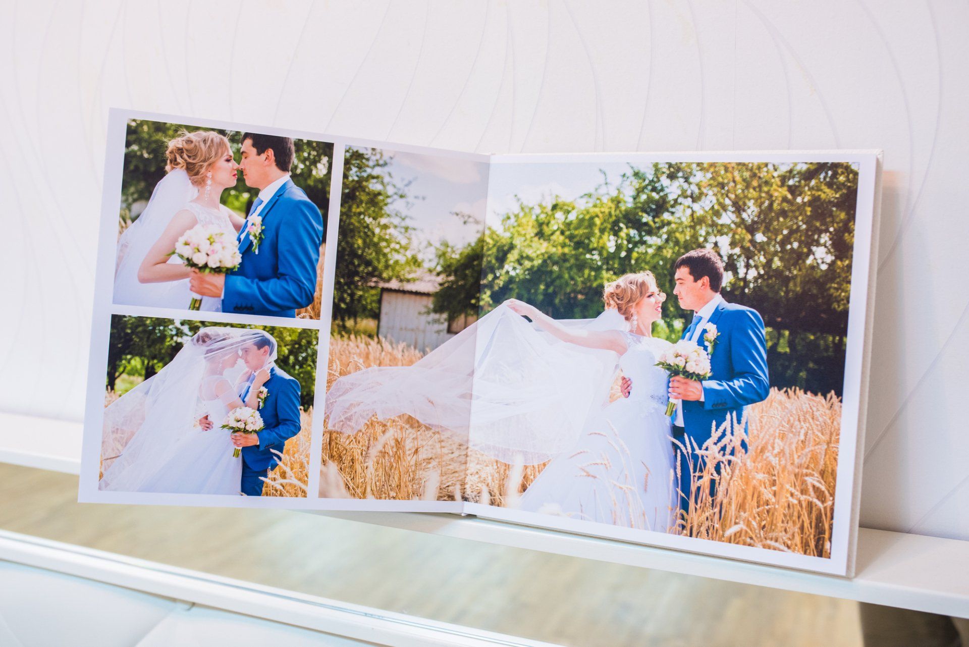 Photo Organization Services Tampa FL