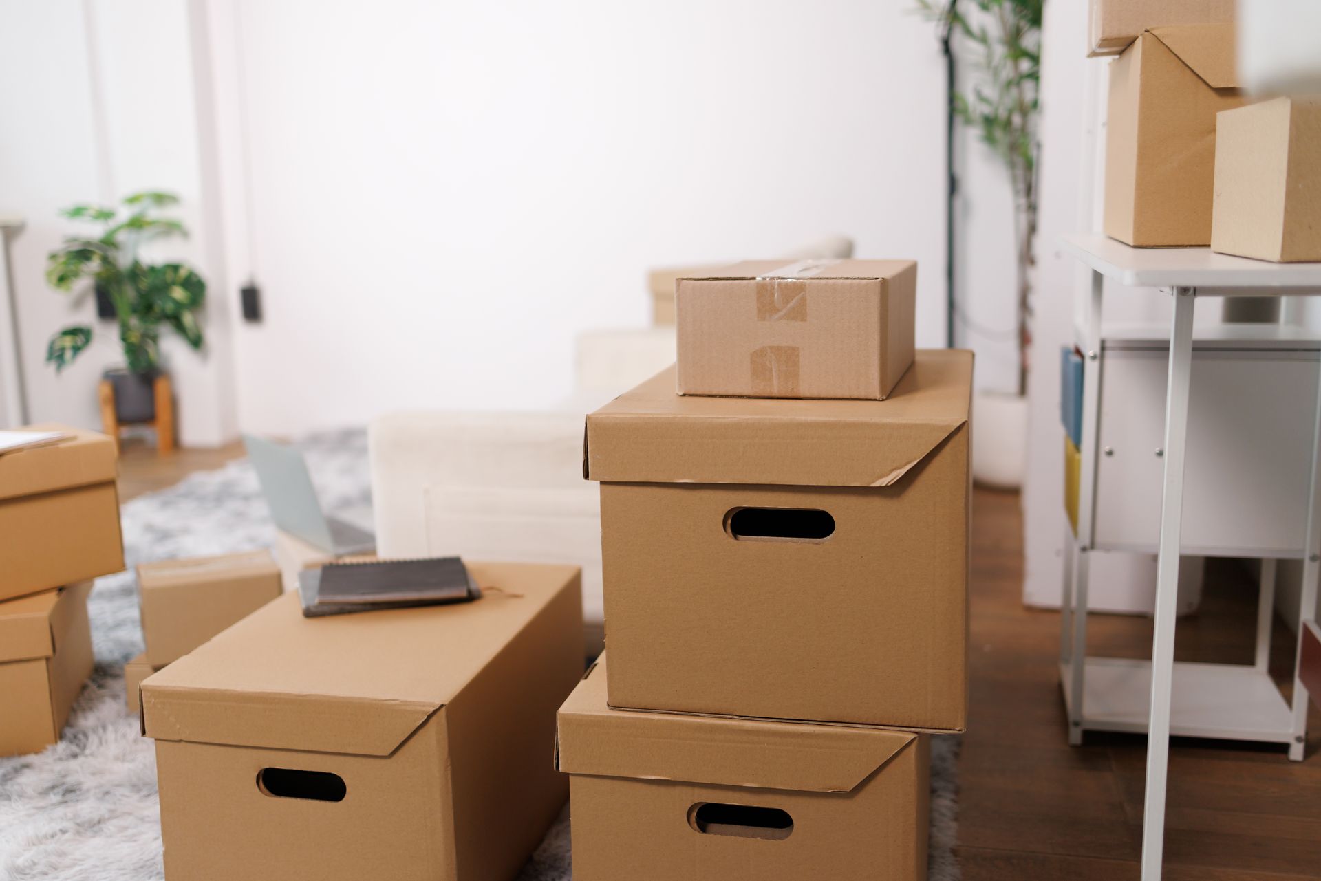 Stacked cardboard moving boxes packed in a living room ready for relocation.