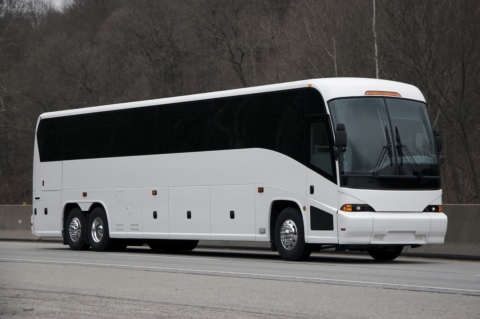 A White Bus Is Parked on The Side of The Road — G & D Ross Bus Charters In Toowoomba, QLD