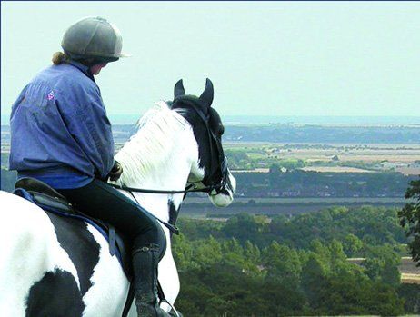 Rider on a black and white horse