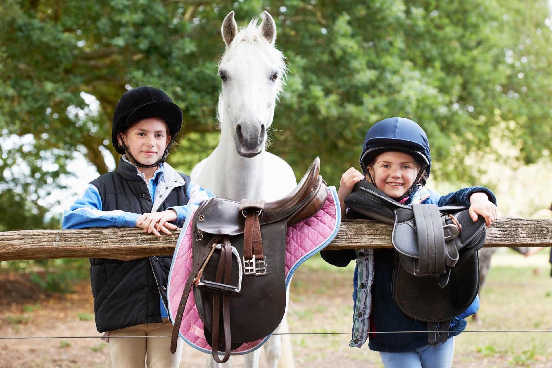 Two young girls with a horse