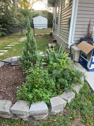 Raised garden bed with stone border, green plants, and a small evergreen beside a house backyard path