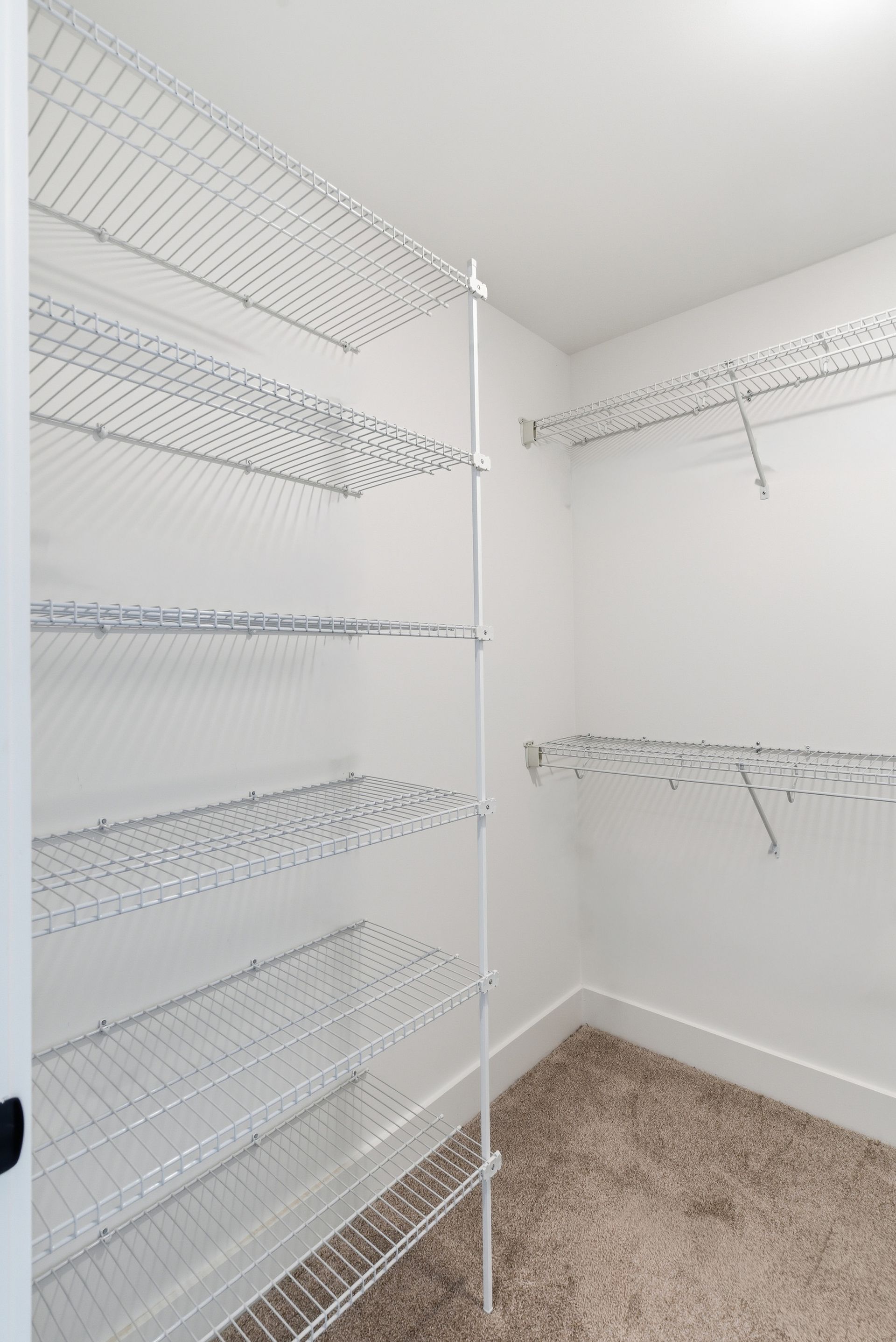 Empty white walk-in closet with wire shelving on both walls and beige carpet.
