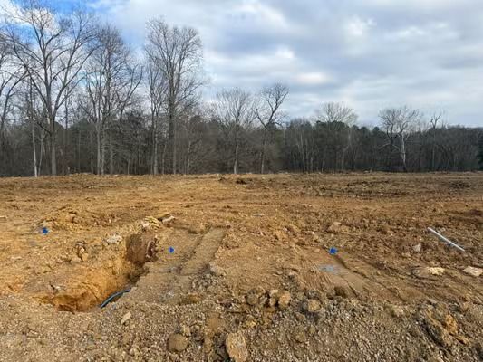 Cleared dirt lot with trenches and scattered blue markers beside leafless trees under a cloudy sky