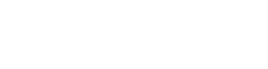 Mostly blank white image with a thin black line across the middle and a small black shape at the left end