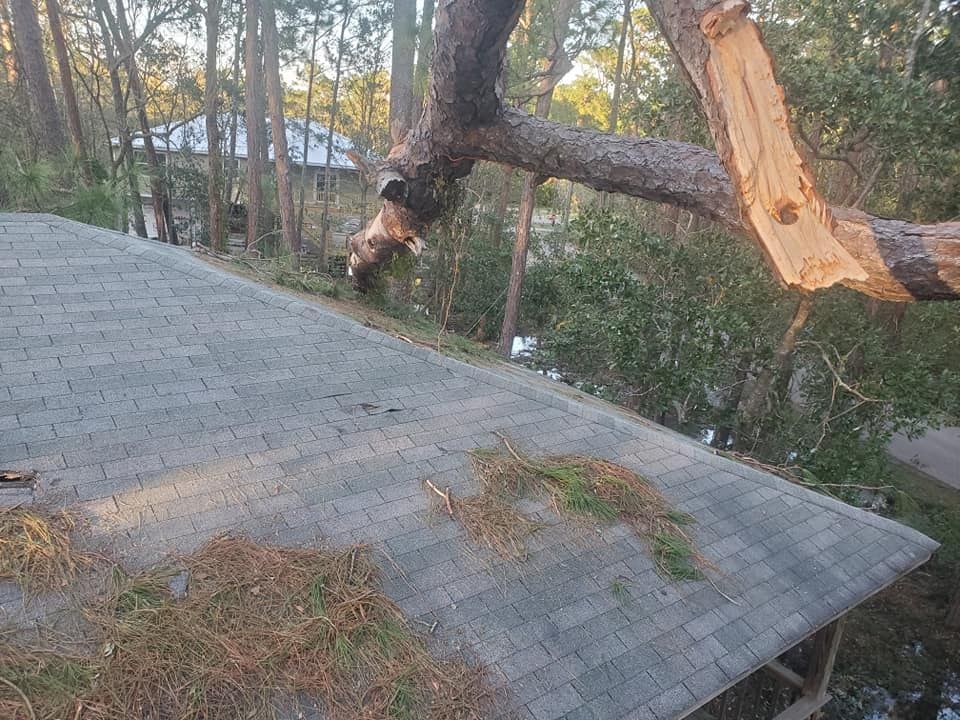 A large tree branch has broken and fallen onto a gray shingled roof, causing damage.