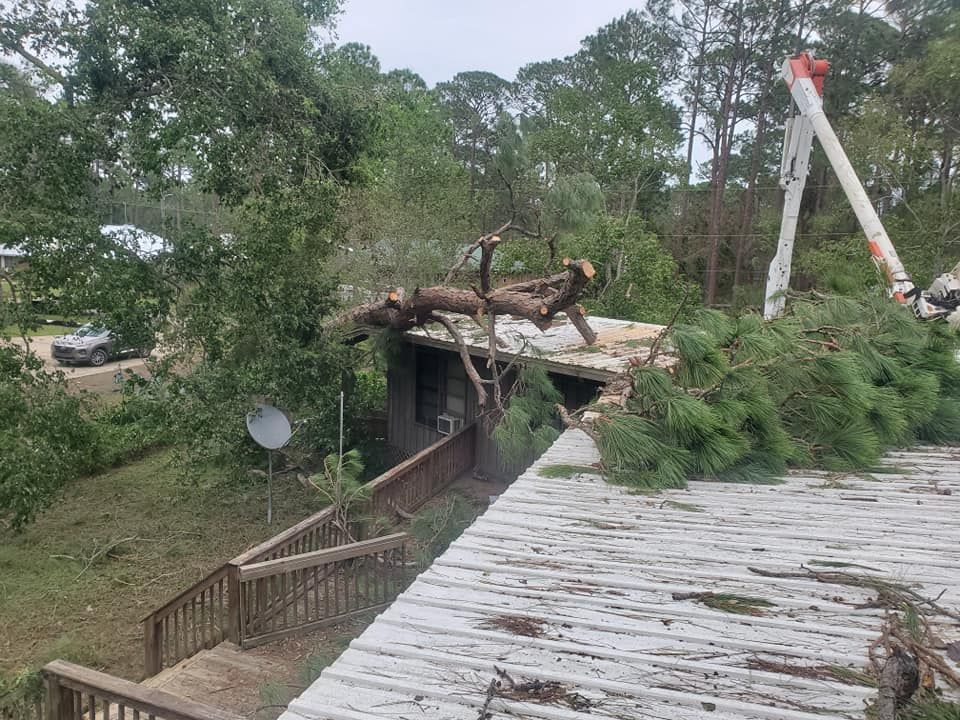 A tree trunk and branches lie on the roof of a house. An aerial lift is nearby, and a car sits in the distance.