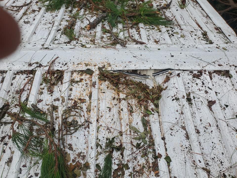 White pickup truck bed filled with twigs, leaves, and pine needles; a hole is visible in the bed.