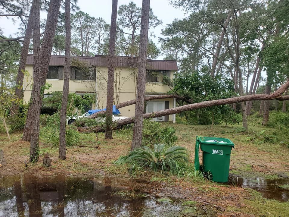 A tree fallen on a two-story house, blocking access. Green trash bin sits near floodwater.