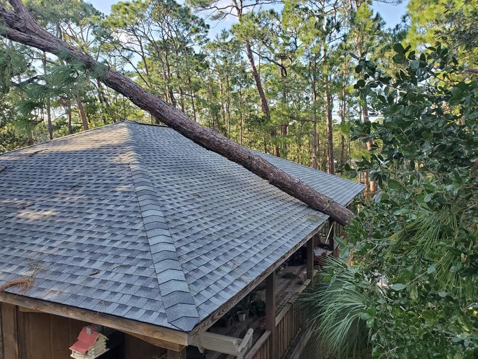 A large tree branch lies across a gray shingled roof, surrounded by green trees in a wooded setting.