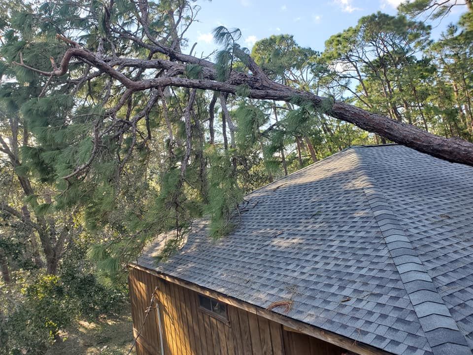 A large tree branch lies across a gray shingle roof in a sunny outdoor setting.