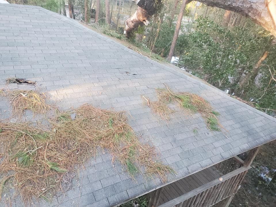 Gray shingle roof with patches of brown and green debris; outdoor setting.