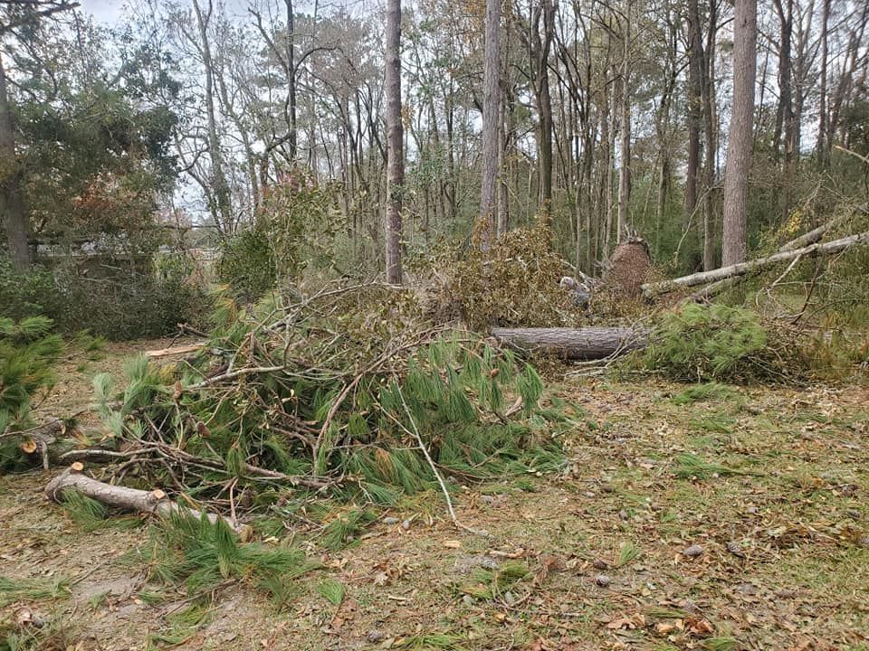 Fallen tree branches and debris on the ground in a wooded area.