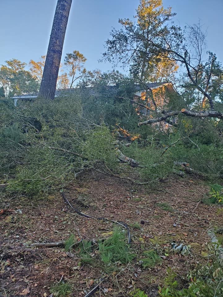 Fallen tree branches and foliage obscuring a house with a blue sky background.
