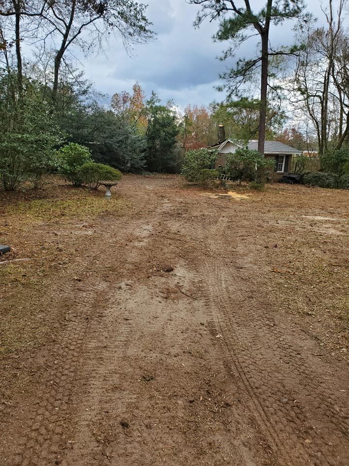 Dirt driveway leading to a small house with trees on either side under a cloudy sky.