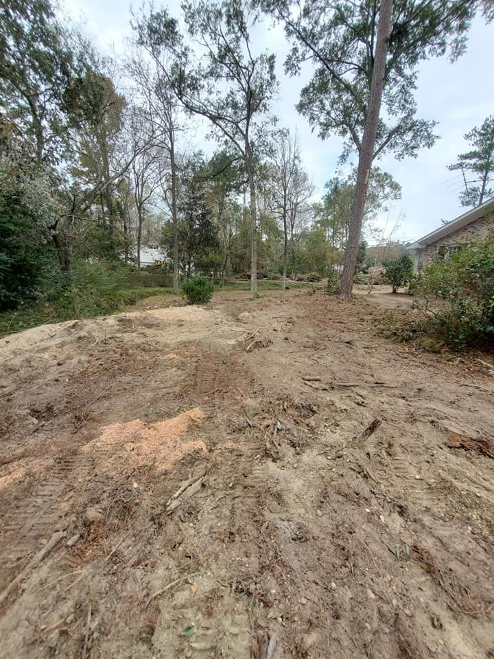 Cleared land with dirt and tree stumps, surrounded by trees and a house. Cloudy sky.