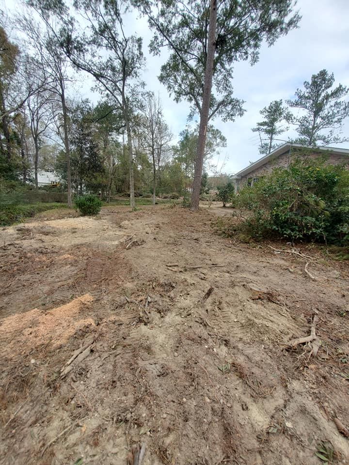 Clearing in a yard with dirt and scattered debris, trees, and a house in the background. Cloudy sky.