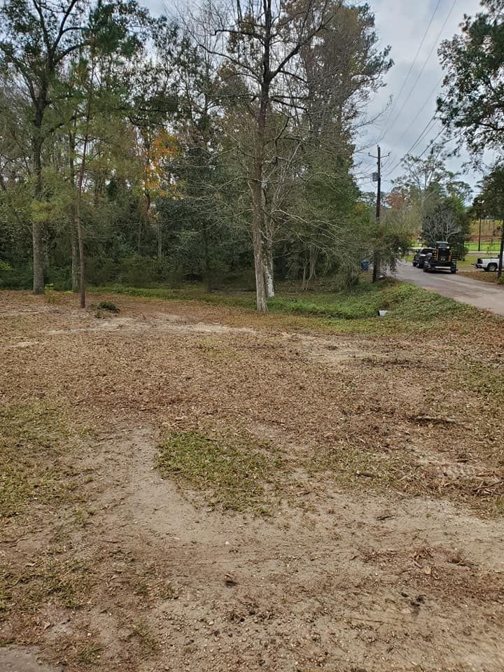A clearing covered in leaves, bordered by trees and a dirt road with a parked truck.