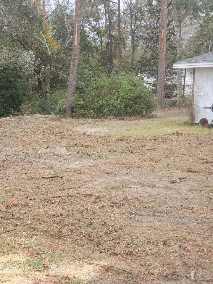 Dirt yard with trees, bushes, and a white shed in the background.