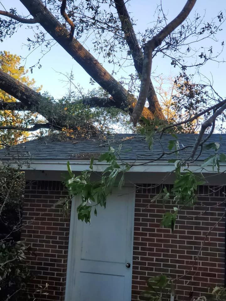 Tree branches resting on a brick building's roof, partially obscuring a white door.