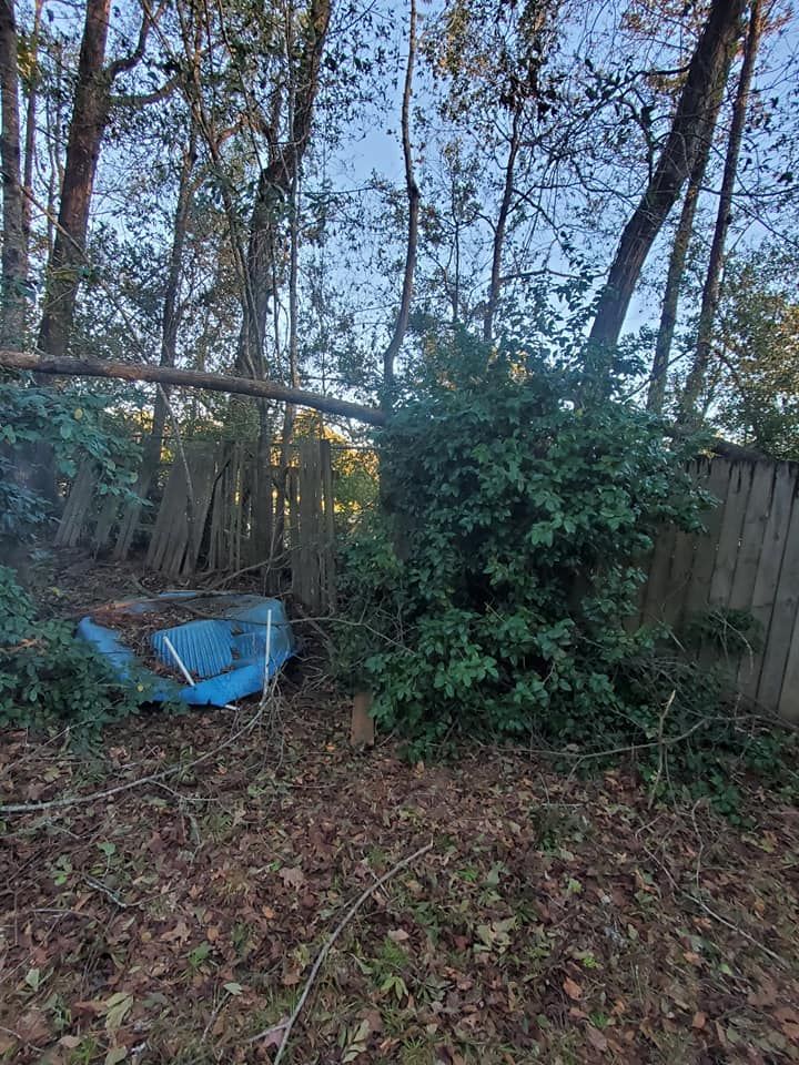 Blue wheelbarrow near a wooden fence and large bush, with a fallen tree limb.