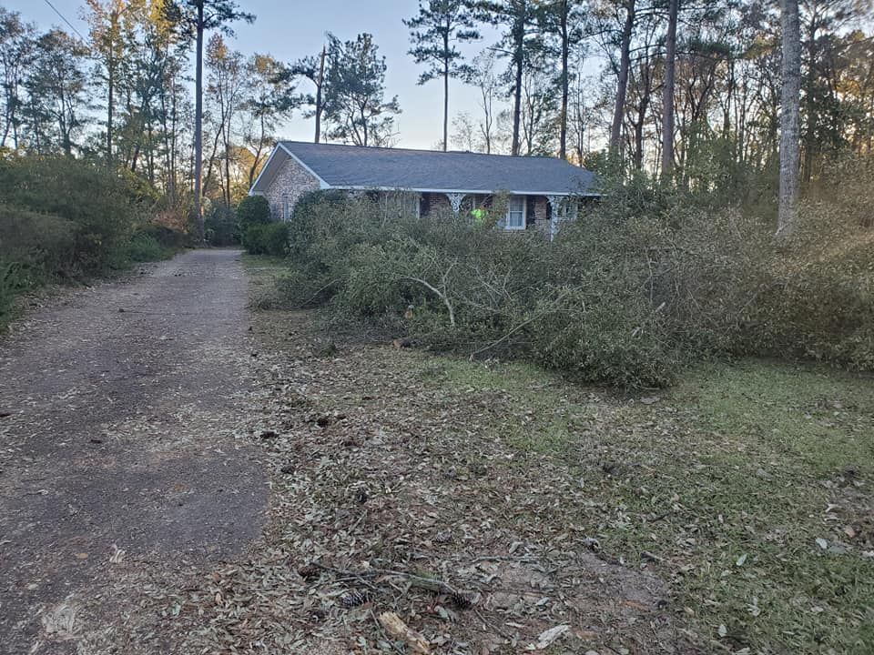 A house surrounded by fallen branches on a dirt driveway, after a storm.