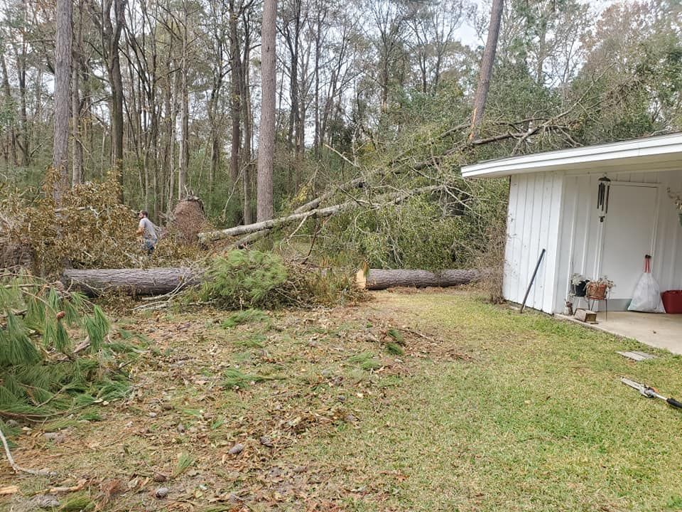 Large tree fallen in yard, near a white building, person clearing debris.