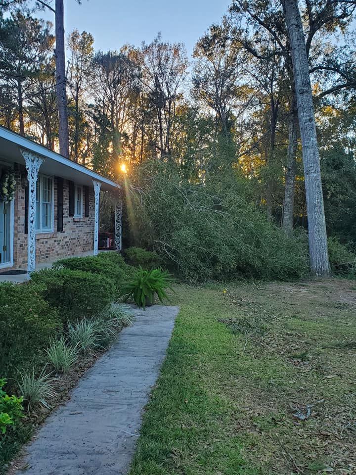House with porch, sidewalk, and yard. Sunlight streams through trees in the background.