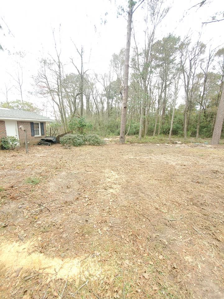 Cleared lot next to a brick house, dry brown ground, tall trees in the background.