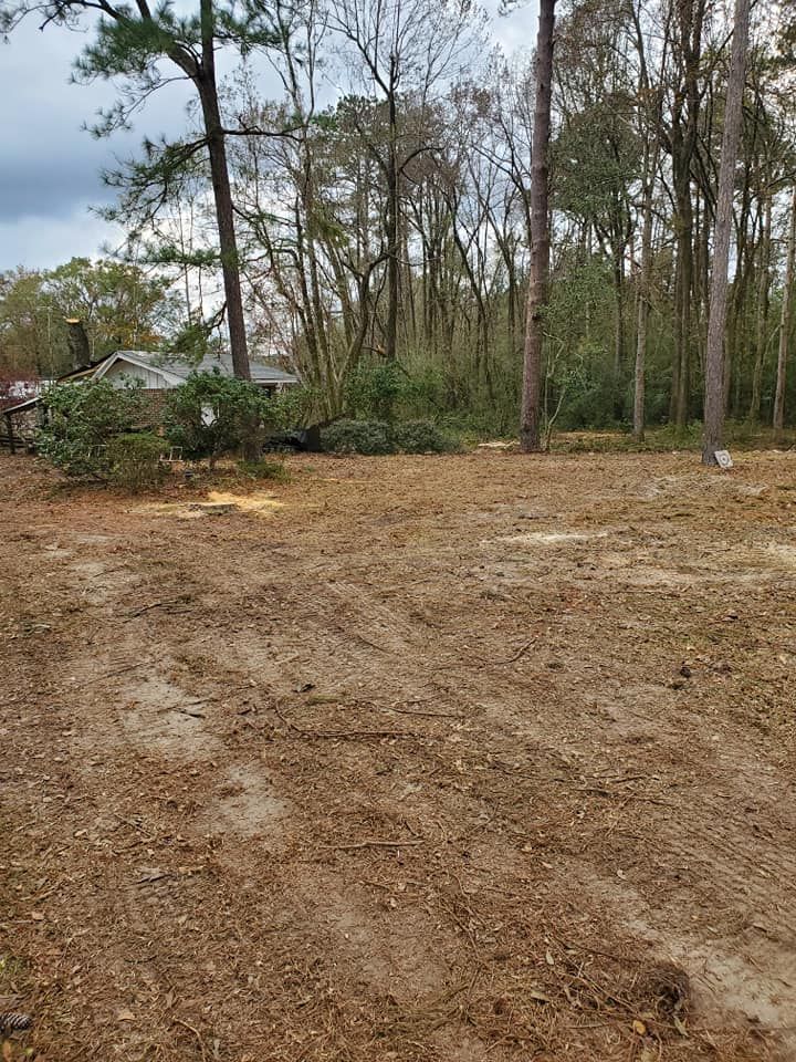 Cleared land with wood chips, surrounded by trees and a house in the background.