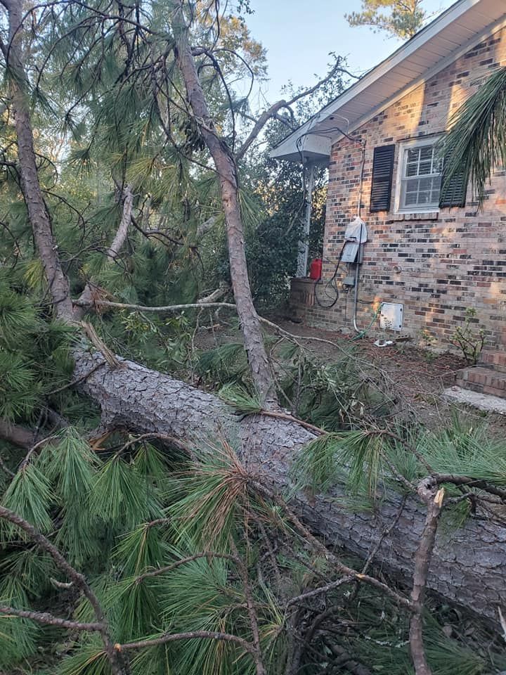 Fallen tree partially on a brick house. Green foliage covers the trunk and branches.