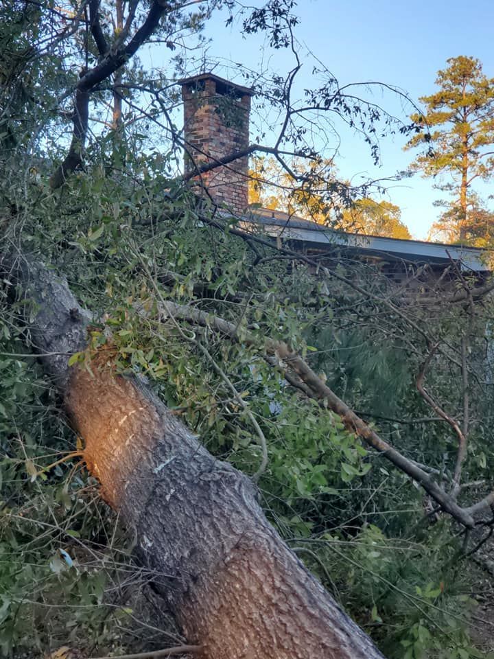 Fallen tree rests on a house with a brick chimney. Green leaves and branches cover the roof.