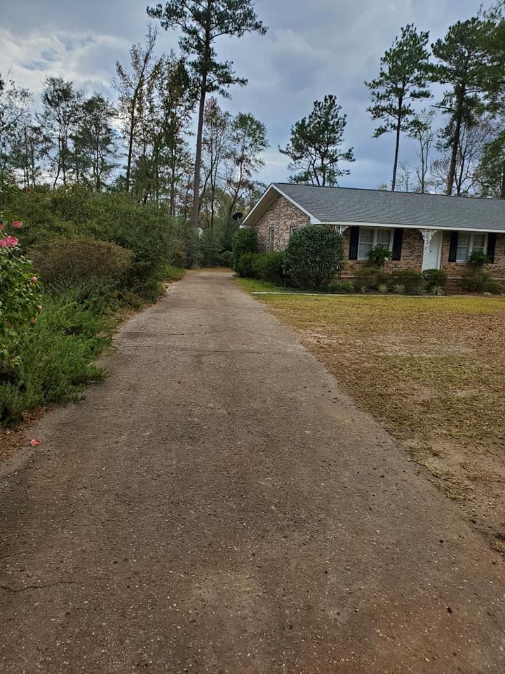 Concrete driveway leading to a brick house with a dark roof, surrounded by trees and overgrown landscaping.