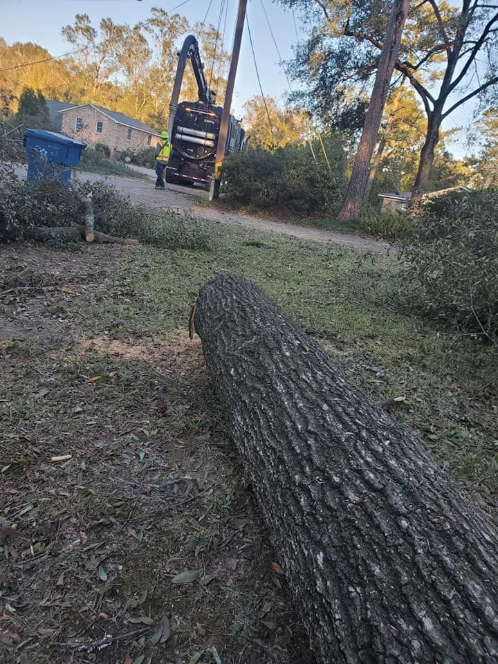 Fallen tree trunk on grass with a tree service truck and worker near power lines.