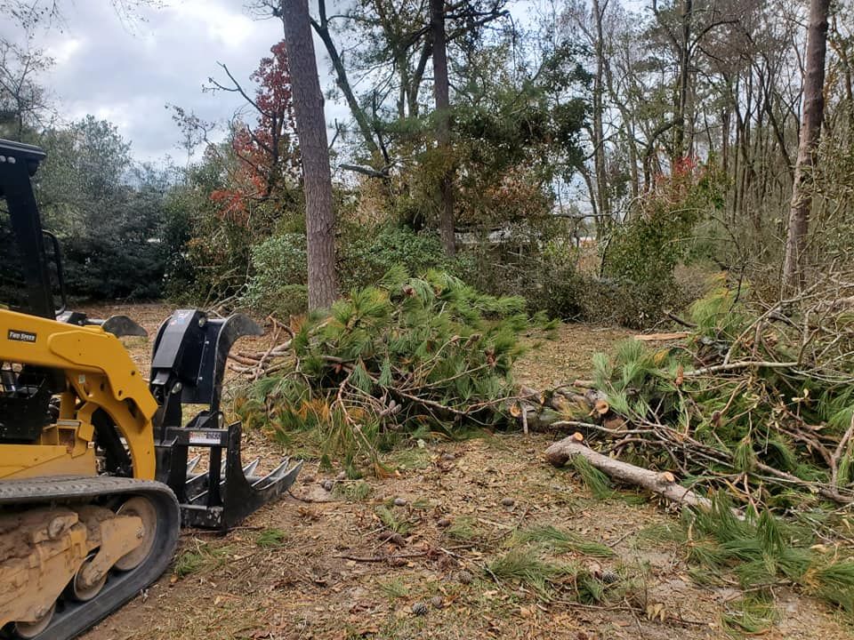 A skid steer loader clearing a wooded area of branches and debris.