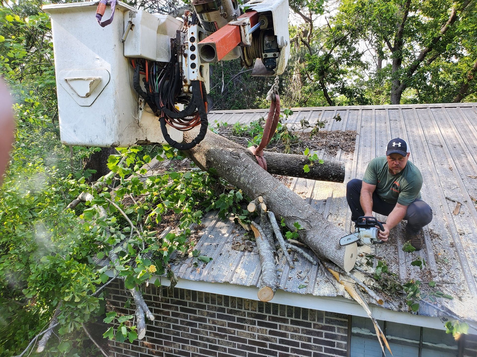 Man on roof using chainsaw to cut tree limb. Bucket truck holds other limbs.