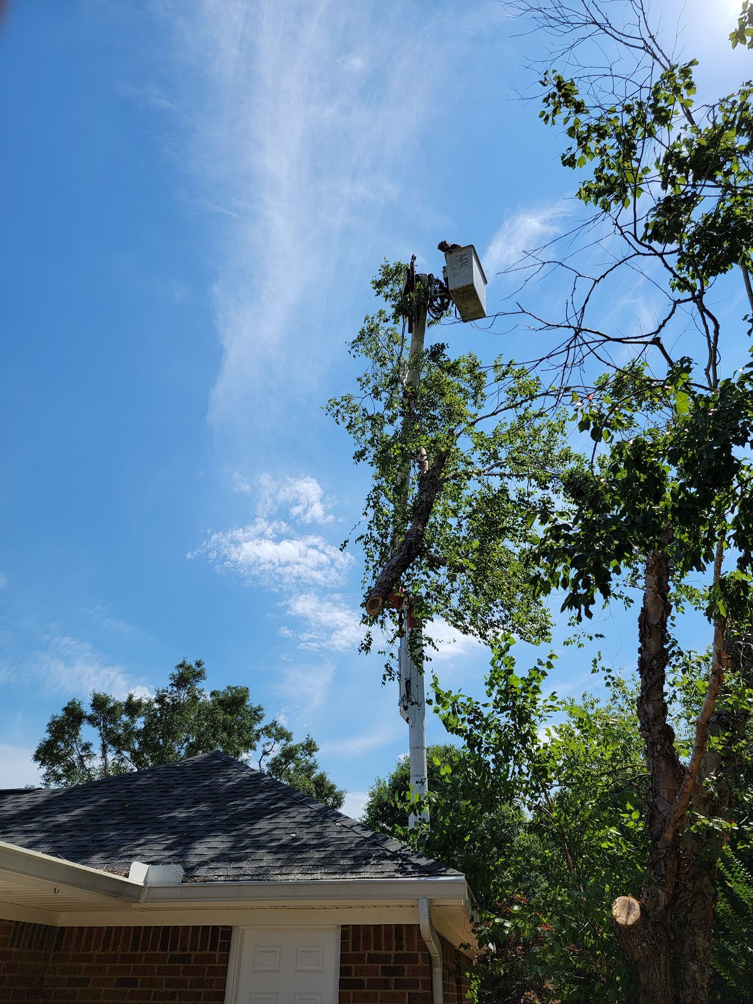A utility pole with equipment atop, surrounded by trees and partly obscured by clouds in a bright blue sky.