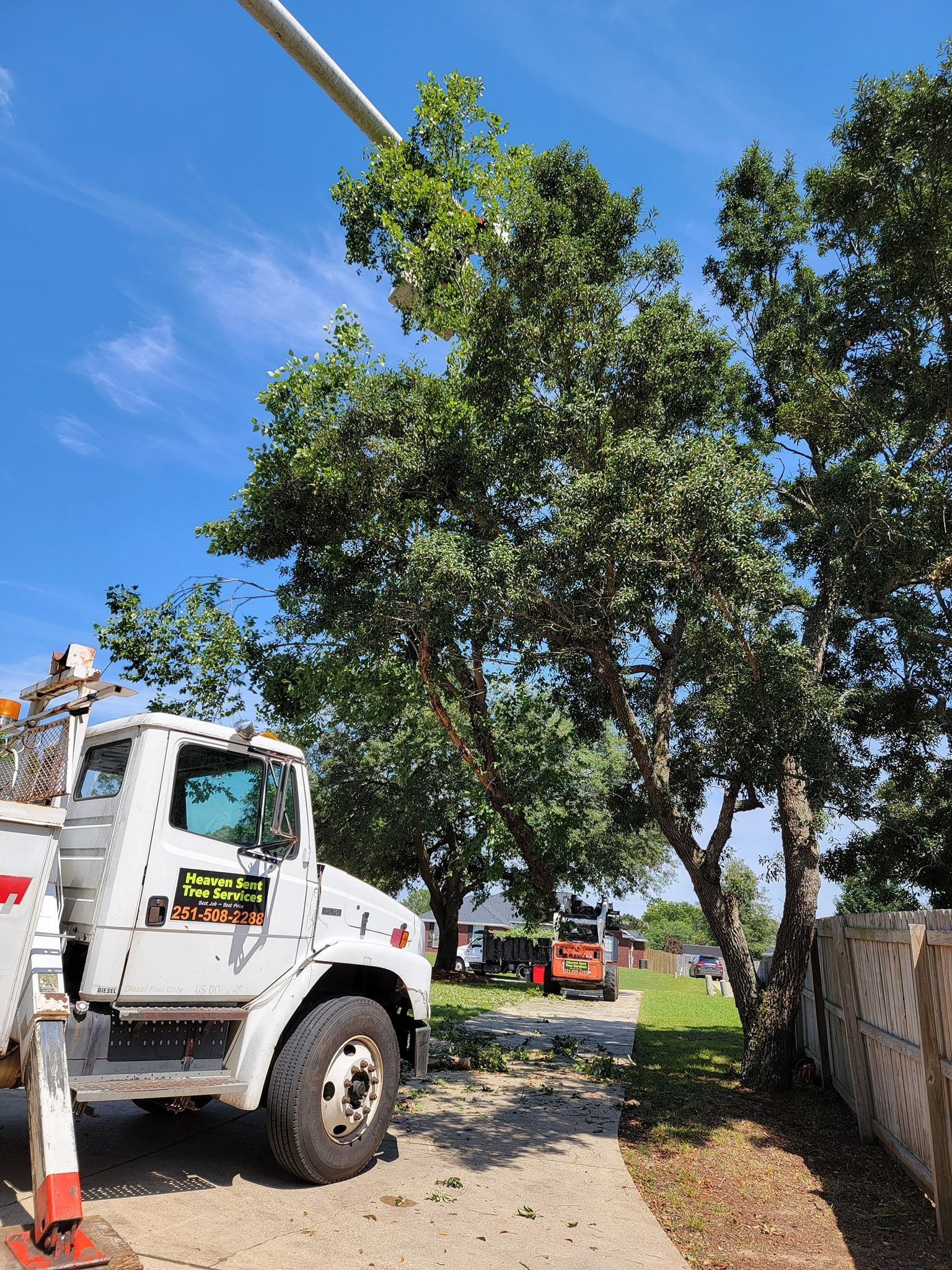 Tree service truck trimming a leafy tree under a blue sky.