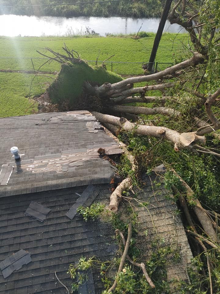 Fallen tree on a house roof after storm. Damaged shingles, green grass, and water in the background.