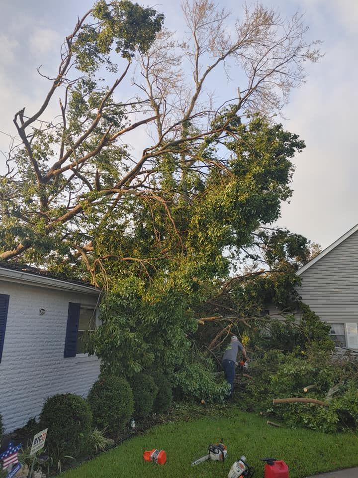 Tree fallen on a house, a person is cutting the branches with a chainsaw, green grass, blue shutters.