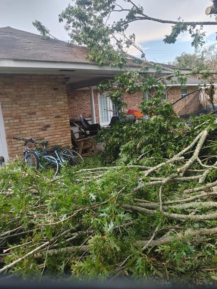 Fallen tree branches on a brick house roof and porch, blocking entrance, two bicycles visible.