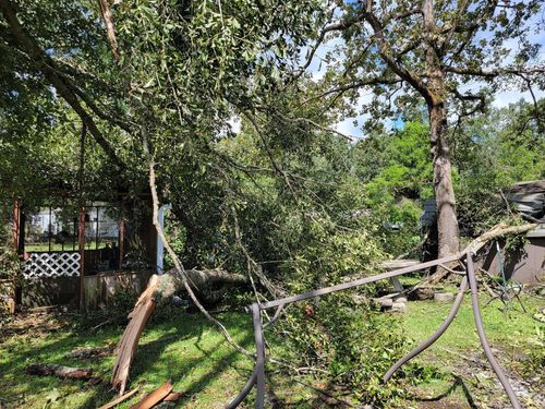 Fallen tree branches over a backyard, likely due to storm damage, with a porch in the background.