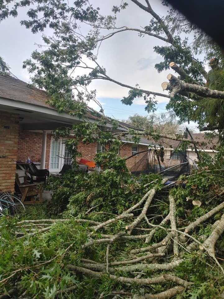 Tree damage on a house roof. Fallen branches and leaves cover the yard and a portion of the house.